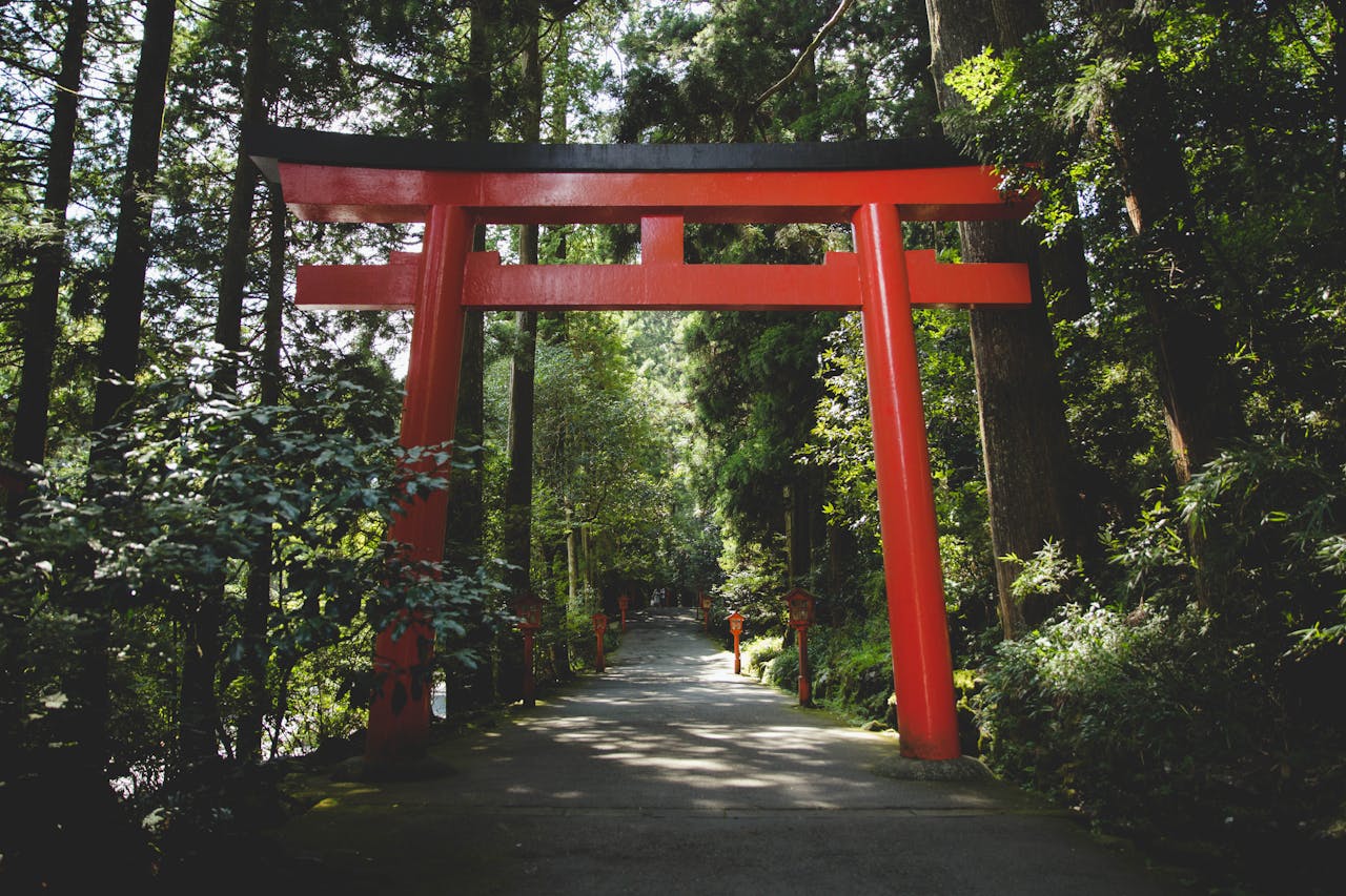 Discover the iconic red Torii gate nestled in a serene forest setting in Hakone, Japan.